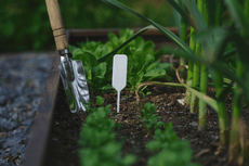Managing profitable growth for a portfolio of brands: How Garden’s Alive is governing their media mix with advanced attribution