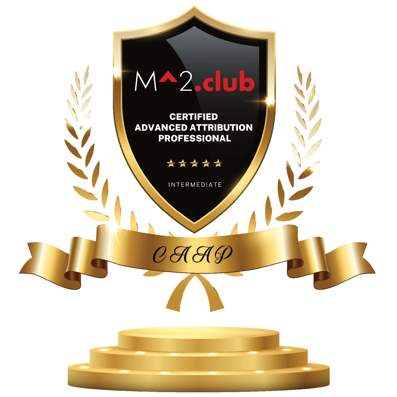 Self-Paced Advanced Attribution Professional Certification
