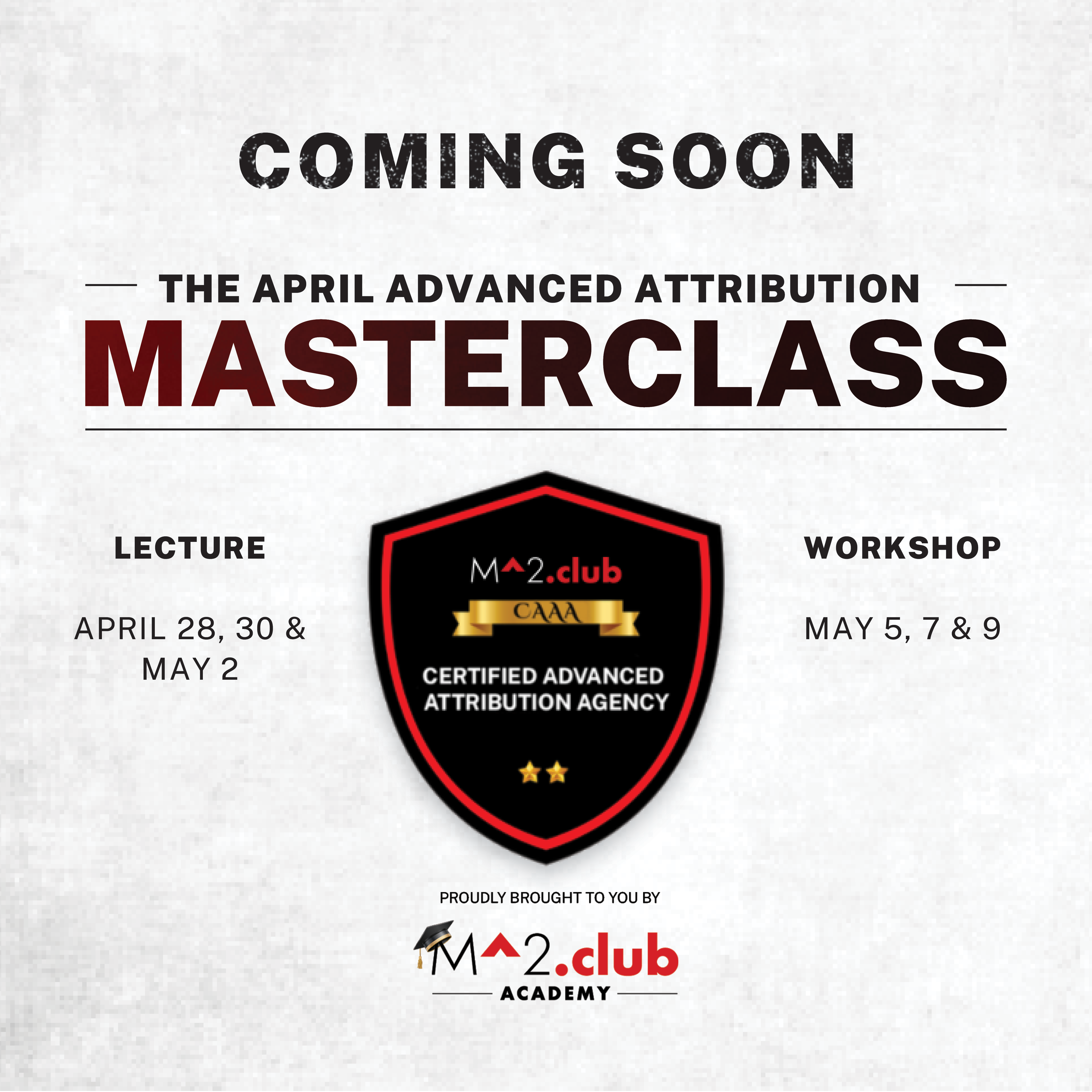 Masterclass for Consultants